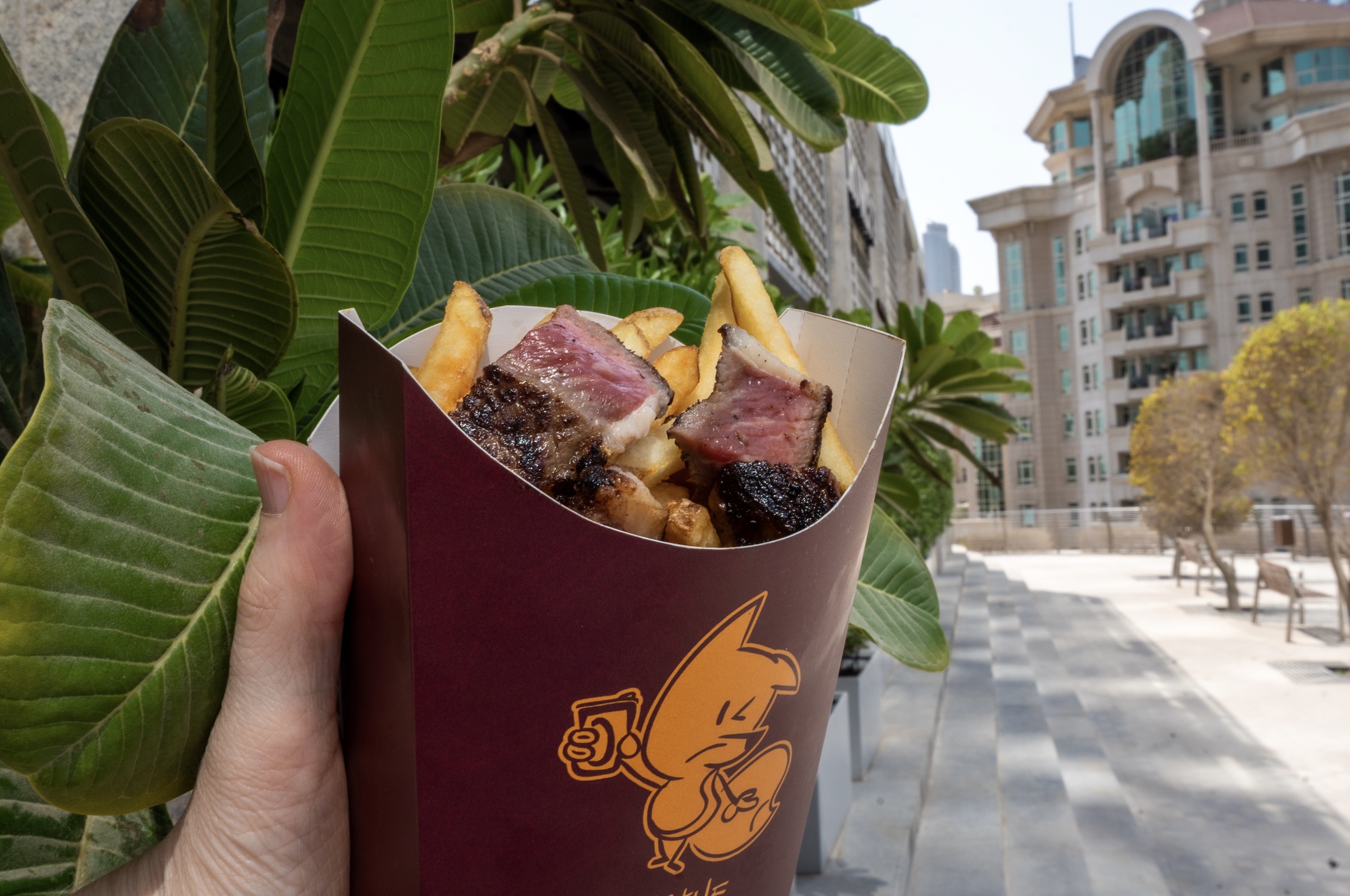 Read more about the article The Wait Is Over: The Little Fox Finally Opens at Alserkal Avenue