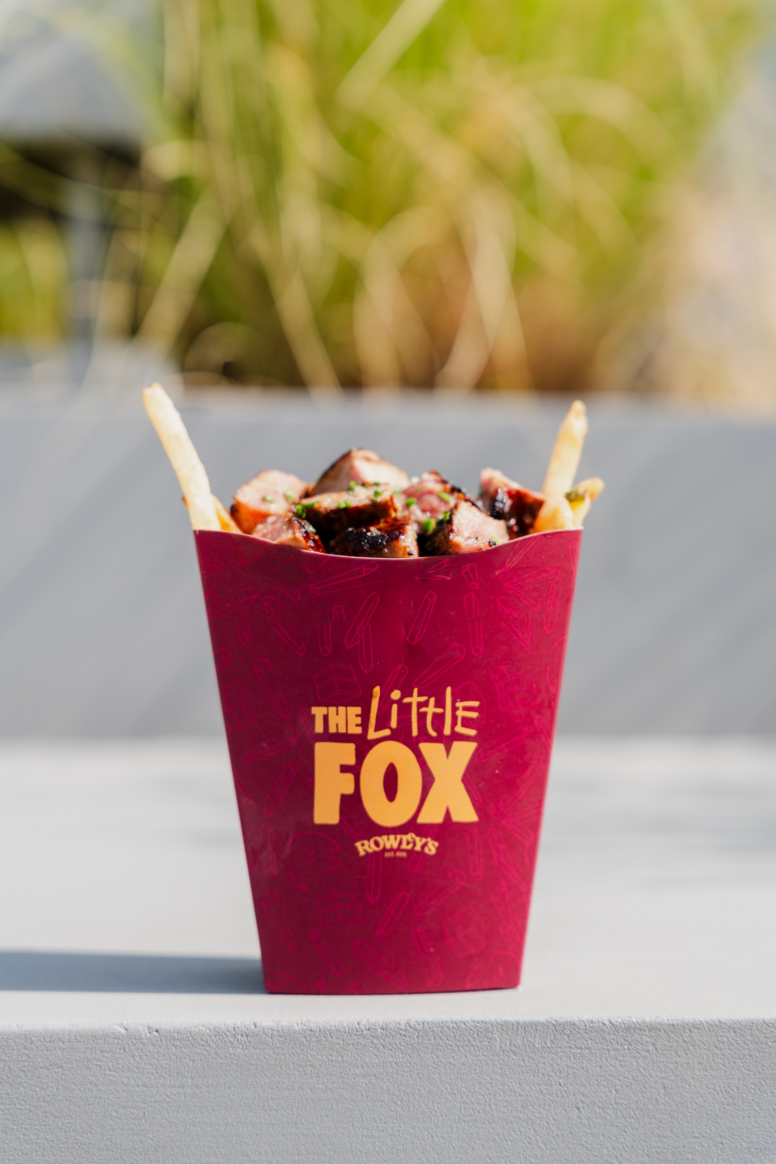 Read more about the article Have You Noticed This at The Little Fox?